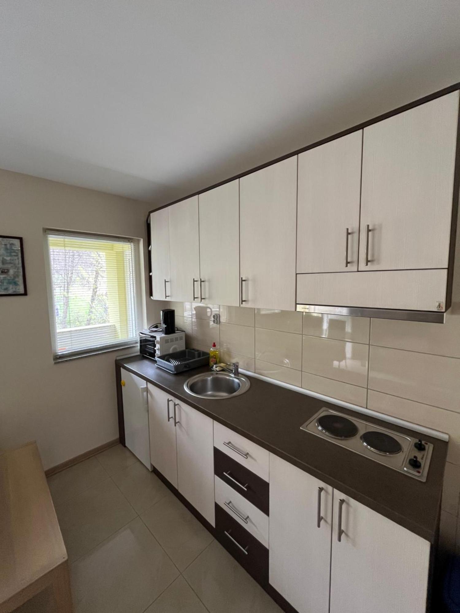 Apartmani Radoicic Josanicka Banja Ngoại thất bức ảnh